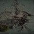 Jw_splash-event