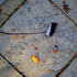20101216083220-groundleaf