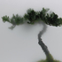 20101216141750-001_pine