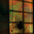 20101217075355-katya4verticalweb