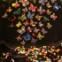 20101218091152-magicalbutterfly3