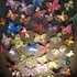 20101218091306-magicalbutterfly1