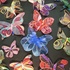 20101218091430-magical_butterfly3