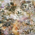 Cecilybrown_skulldiver4