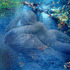 20120120220059-vis7