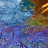 20120127150439-nat6