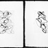 20101219195750-marden_prints2_sm