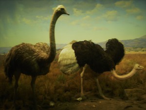 20101219201821-dscn1610