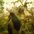 20101219210820-dscn1590