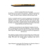 20101220092923-ikea_pencil_ideology_web