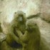 20101220202733-dscn1609