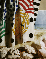 ,Roe Ethridge