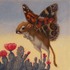 20101221051009-flyingkangaroorat