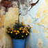 20101221075946-flowers_in_a_corner
