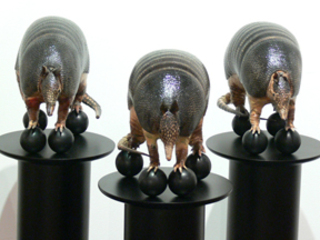 Space of Emplacement (for Galileo Gallilei)”,Lasse Antonsen
