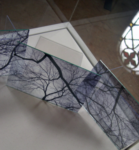 20101225161202-ginafuenteswalker_untitled_transparencies__nos