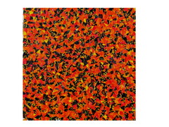 20101228101753-orange___blk-_richard_blakeslee
