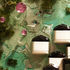 20101226210832-charneco_crop
