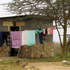 20101227101729-washing_day_in_amboseli