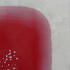 Red_and_white_with_white__quadrant