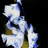 20101227134009-2010_karapetian_caution_02