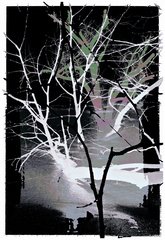 20101227191404-_winter_abstract_jpg