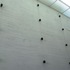 20101228071112-cry_wolf1