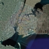 Newyork-googleearth_mta04_01