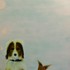 20101228130017-crop__85_