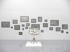 20101228155731-christopher_russell_runaway_installation_luis_de_jesus