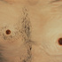 20101228190606-detail_gober