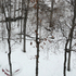 20101230031024-p1090972