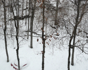 20101230031024-p1090972
