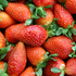 20101230091445-fresas
