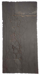 Sampsonia Imprint (D),Diane Samuels