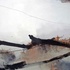 20101230145730-vertigosmall