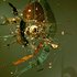 20101230203220-pict3054-1