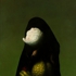Abstract_figurative_series__2
