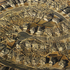 20101231182338-if_we_build_it__will_they_come__low-res_