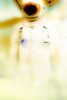 20110101122043-durand_durand