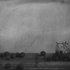 20110102143352-grapes