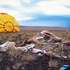 20110102173917-gone_tomorrow