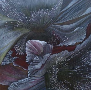 20110103061650-cactusflower