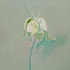 20110103224901-kathy_oh_rebirth