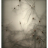 20110104110818-selva_oscura_sm