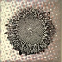 20110104191933-jubilee_i_jin_hwan_cho