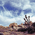 20110104225128-biggerstaff-1-2