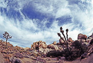 20110104225128-biggerstaff-1-2