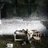 20110105002103-tarcovski_da_stalini_046