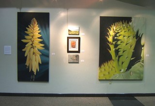Flower and Fauna Group Exhibit Detail,Craig Cheply